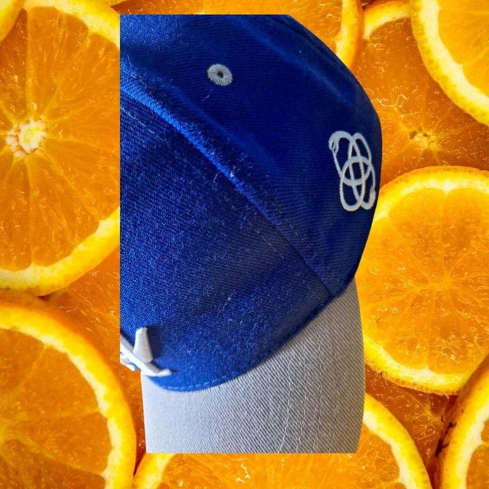 Reference LA Hat Snapback Palm Trees‎ Baseball Cap